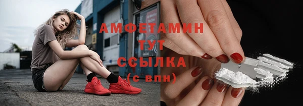 стаф Кодинск