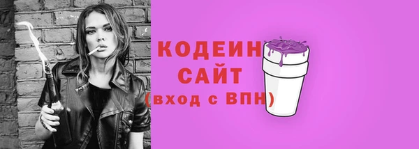 соль ск Козельск