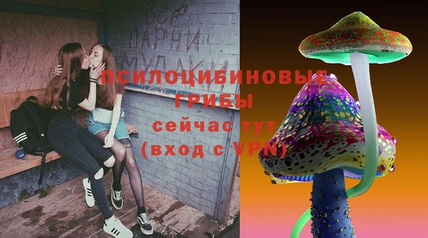 соль ск Козельск