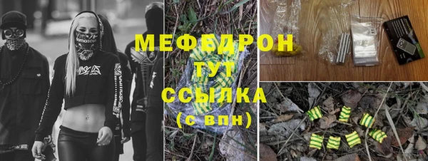 стаф Кодинск
