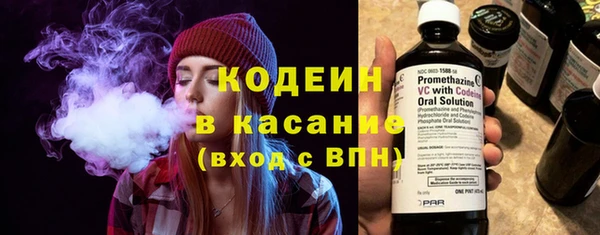 стаф Кодинск