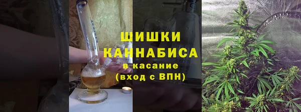 соль ск Козельск