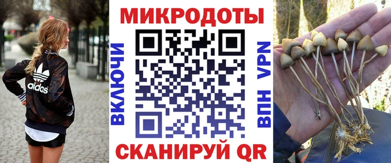 купить наркотики цена  Челябинск  Галлюциногенные грибы мухоморы 