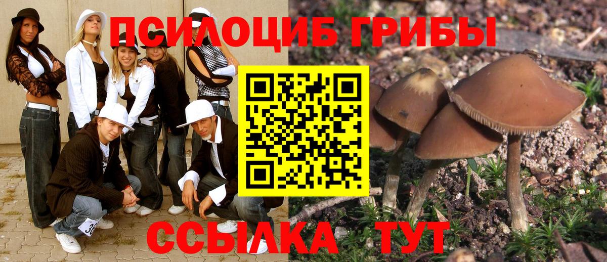 Галлюциногенные грибы Cubensis  купить наркотик  Челябинск  Вход с VPN  Псилоцибиновые грибы Magic Shrooms 